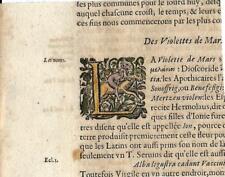 Stampa antica CAPOLETTERA L