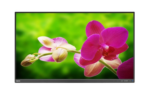 Monitor nec multisync - monitor,