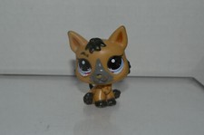Littlest Pet