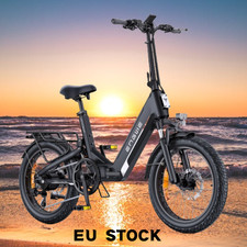 20'' Fat ENGWE Biciclette