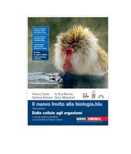 IL NUOVO INVITO ALLA