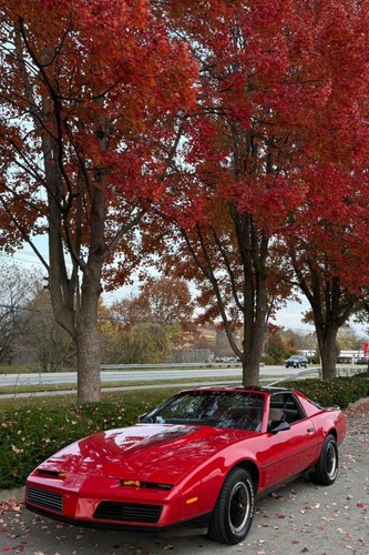 Poster rosso pontiac - poster, firebird