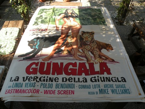 Gigantografia gungala - gigantografia,