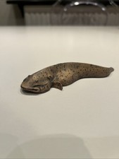 Bronzo dipinto a freddo