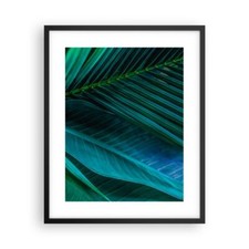 Poster 40x50cm Foglia Tropici