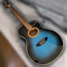 Chitarra elettrica acustica