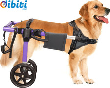 Sedia a Rotelle per Cani per