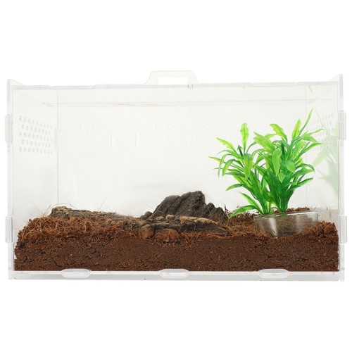 Reptile terrarium carro - reptile,