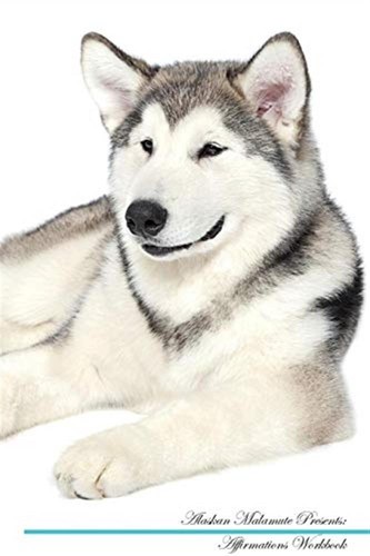 Alaskan malamute affirmations