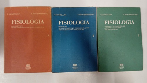 Infantellina e riva - infantellina,, e.
