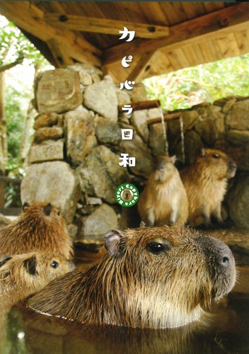 Capybara weather dvd - capybara,