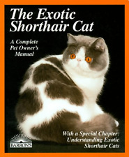 The Exotic Shorthair Cat (A