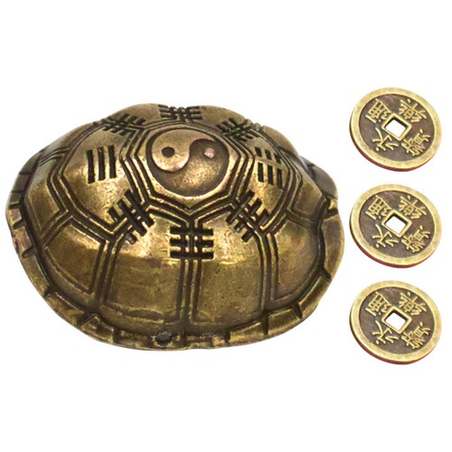 Guscio tartaruga fortunato - di,