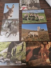 Foto  Immagini di Asini Boiselle