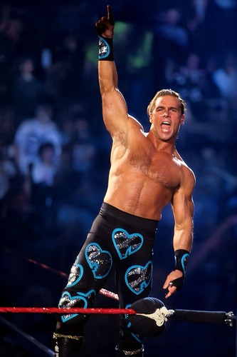 Wwe giant x36 poster - poster,