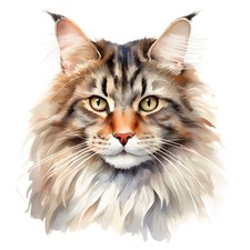 4 adesivi gatto delle foreste