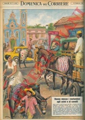Molino asini muli e - molino,