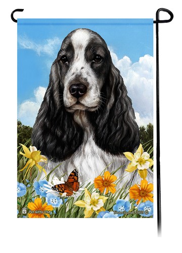 English cocker spaniel - cocker,