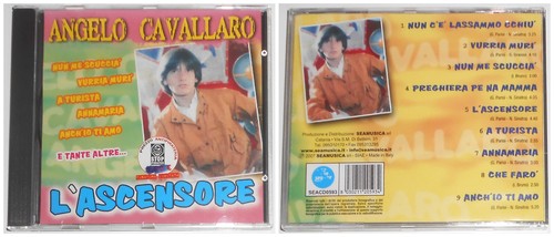 Angelo cavallaro ascensore - cavallaro, l'ascensore