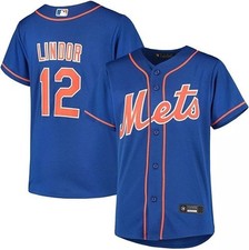 Maglia replica alternativa blu - alternativa,