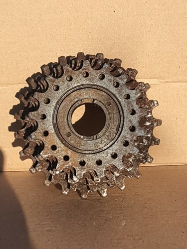 Pacco pignoni everest caimi - everest,