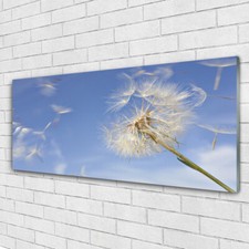 125x50 Quadri su Vetro