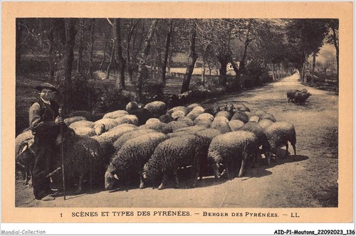 Aidp1 moutons 0069 scene - -, e