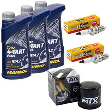 Kit olio ispezione 3L per