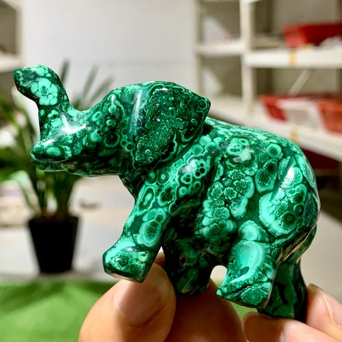 Elefante intagliato mano - elefante,