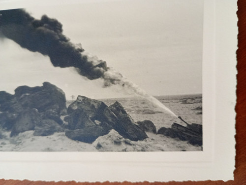 Alamein divisione ariete - alamein,