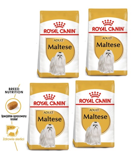 Royal canin maltese adult cibo - canin,