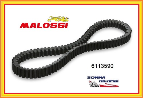 6113590 malossi cinghia di - cinghia,