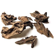 Grandi rami galleggianti