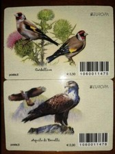 Italia 2019 uccelli Europa