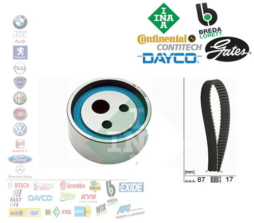Kit distribuzione sciolto - kit,