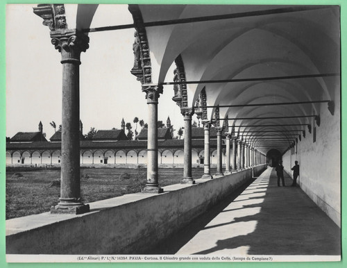 Alinari 14394 pavia - ed.,