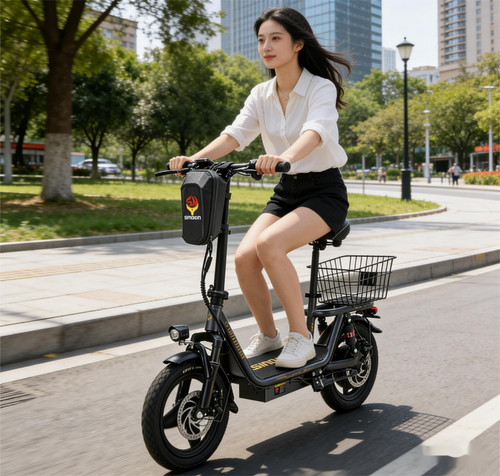 Bicicletta elettrica - bicicletta, 14