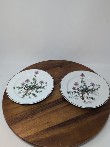 Villeroy boch botanica - villeroy,
