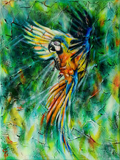 Pappagallo ara dipinto olio su