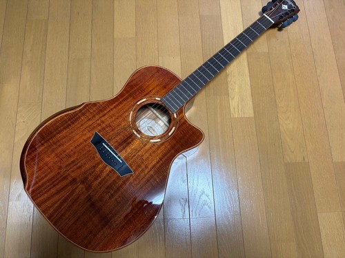 Washburn g55ce koa natural - washburn,