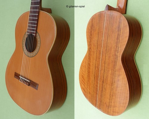 Elegante chitarra concerto - chitarra,