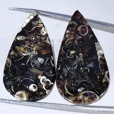 Coppia fossili di agata