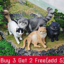 Gatto Ragdoll realistico