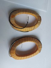 Campi Magnetici Dinamo