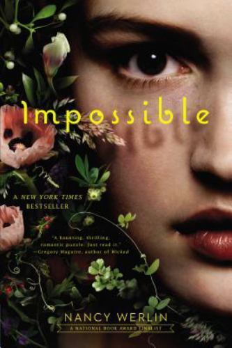 Impossible nancy werlin - by,
