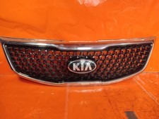 ✅GRIGLIA PARAURTI ANTERIORE