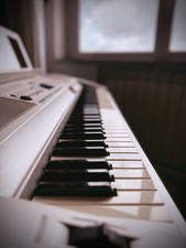 Yamaha Dgx 300 | Portable