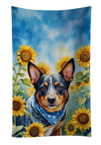 Australian cattle dog - cattle,