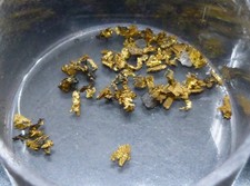 RARE NATIVE GOLD CRYSTALS -
