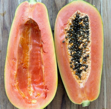 Semi di Papaya var. Papaya